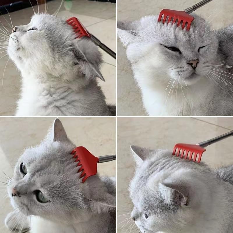 2 Pcs Retractable Telescopic Cat Teaser Comb Wand Interactive Entertaining Toy for Puppy Cats Dogs(Random Color) Rake - BeesActive Australia