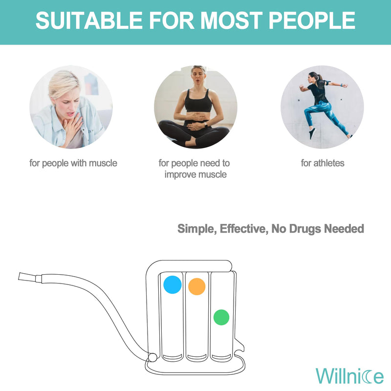 Training Device, Daily Exercise Device, Natural Trainer for Better Strengthen, Easy to Use and Clean, Standard - BeesActive Australia