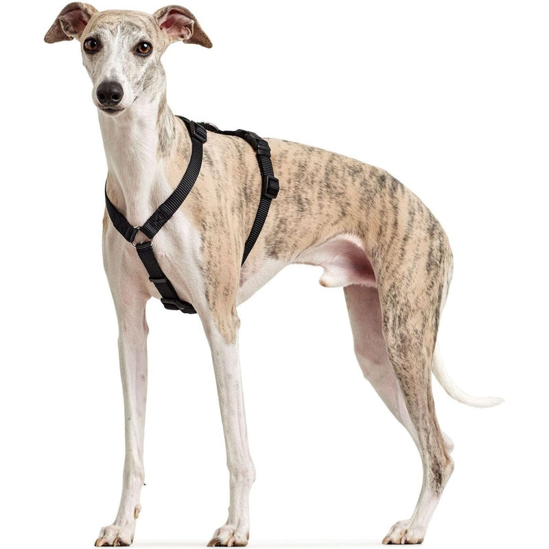 HUNTER safety harness Vario Rapid 48 - 70 cm, black
