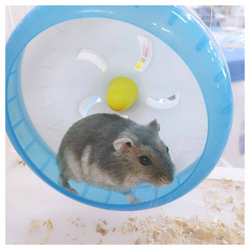 WishLotus Hamster Running Wheel, Silent Jogging Exercise Toy Hamster Cage Accessory for Drawf Hamster Golden Silk Shih Tzu Bear (Blue) blue - BeesActive Australia