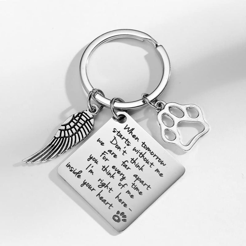 WANGCL Stainless Steel Paw Print Keychain with Box to Remember Lost Dogs Pets Cats - BeesActive Australia