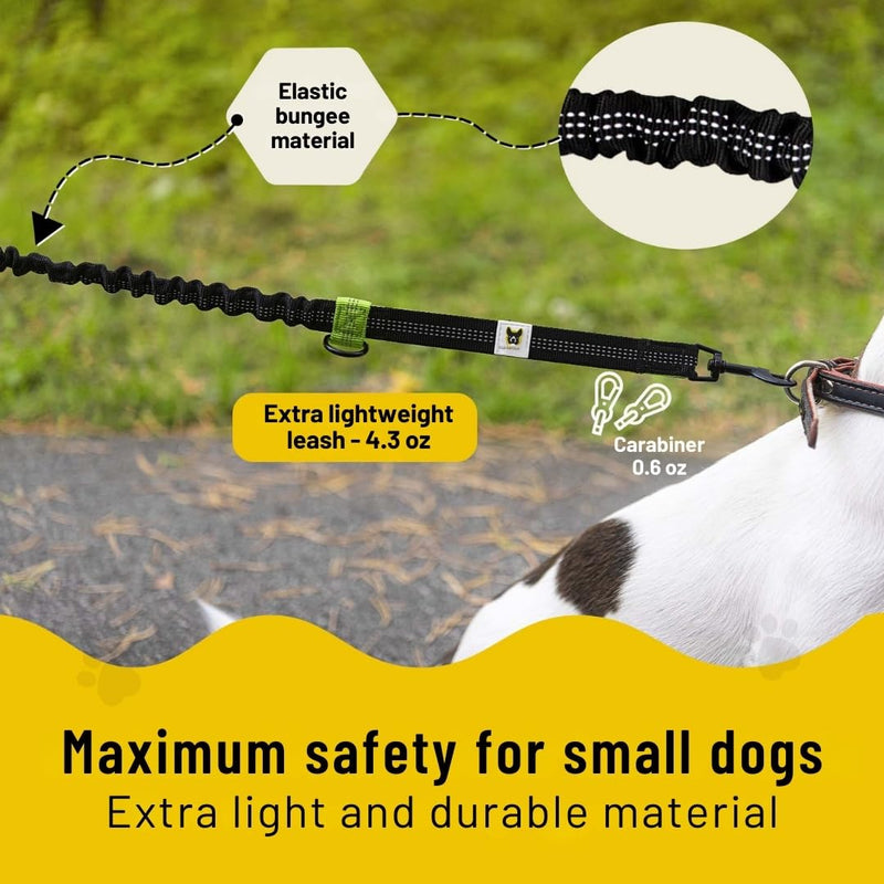 Hundefreund Hands-Free Dog Leash Replacement Bungee (43–63”) – Extension for Small Dogs – Shock-Absorbing with Dual Handles & Reflective Stitching (Green) - BeesActive Australia