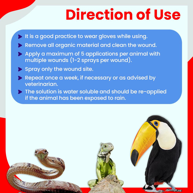 F10 Antiseptic Wound Spray for Reptiles, Birds, Small Animals & Exotic Animals, Antiseptic Pain Relief Spray & Prevents Infection - 100ml 100 ml - PawsPlanet Australia