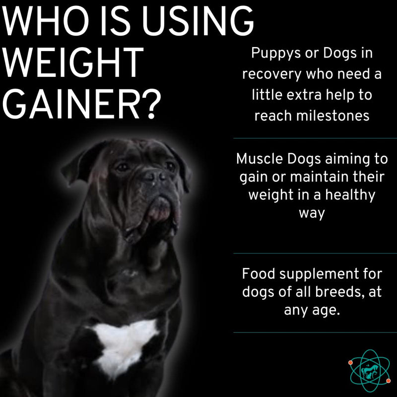 Dog Weight Gainer Powder and Bladder Strength Chews