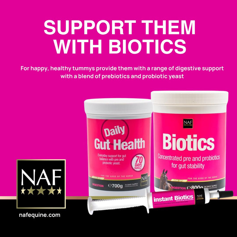 NAF Biotics 300g – Digestive Support Supplement for Horses – With Live Yeast & Prebiotics – Aids Gut Health, Nutrient Absorption & Digestive Balance – Ideal After Stress or Antibiotics 0.3 g (Pack of 1)