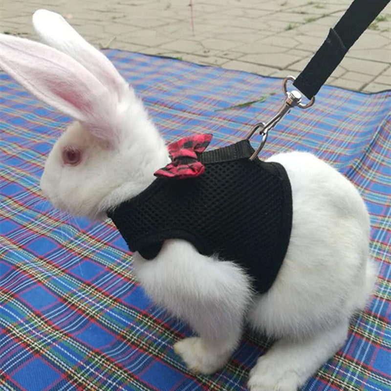 Rabbit Harness with Leash Adjustable Soft Mesh Vest Harness for Bunny Kitten Guinea Pig Rat (L, Black) L - BeesActive Australia