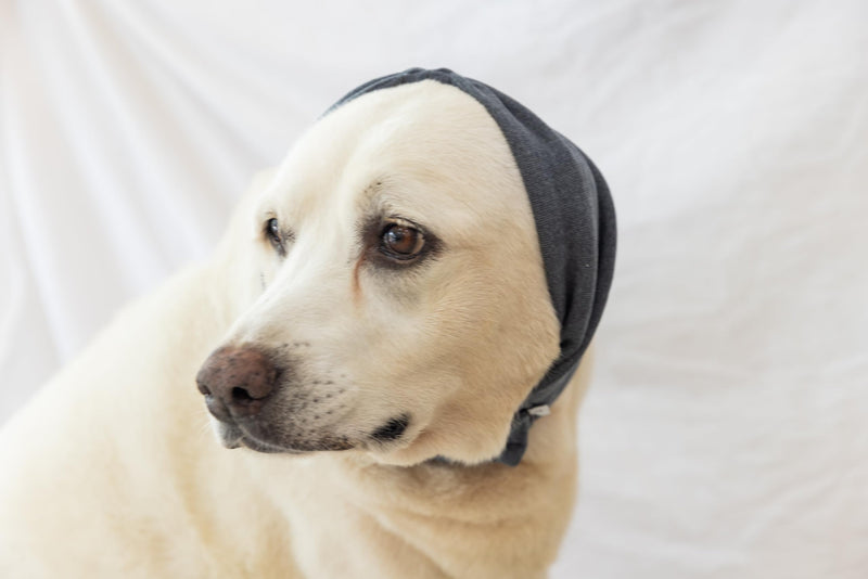 Calming Dog Ear Cover - Anti-Anxiety & Stress Relief Neck Gaiter for Surgery Recovery, Bathing, Grooming, Thunder & Fireworks Grey L Large