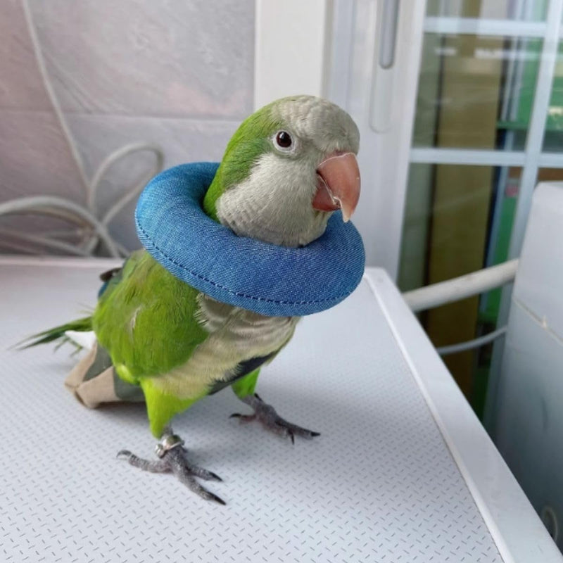 Parrot Neck Collar Pet Anti-bite Picking Feather Healing Protective Neck Cover Collar for Birds Conures Cockatiels Lovebirds Budgies Cockatoos African Grey Random Color (M) M