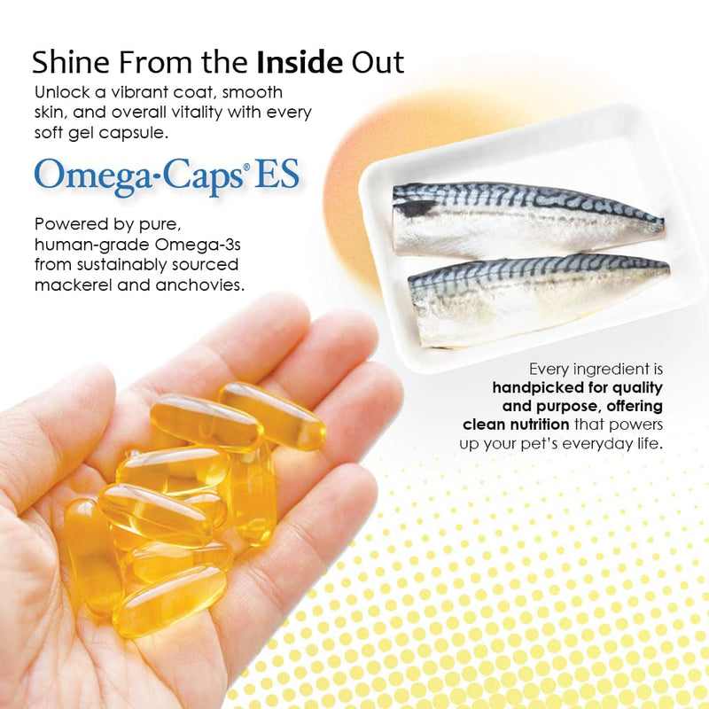 Extra Strength for Large and Giant Dogs Value Size Omega-3 and Omega-6 Fatty Acid Antioxidant Supplement Vet Formulated Made in USA Skin Coat Joint Heart and Immune Health 250 Softgel Capsules