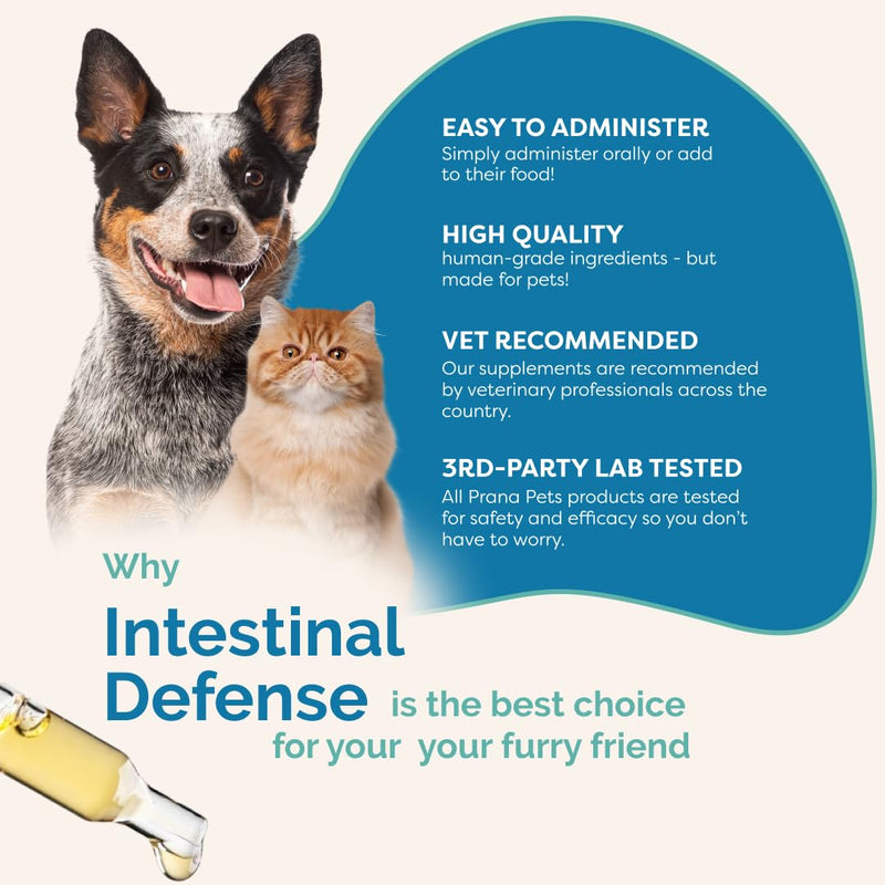 PranaPets Intestinal Defense Supplement for Dogs & Cats | Naturally Helps Digestive Issues in Pets | Herbal Formula 1 Pack - PawsPlanet Australia