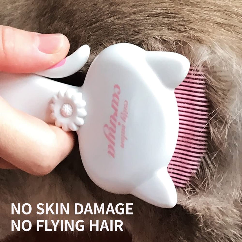 A cat uses a curved comb - BeesActive Australia