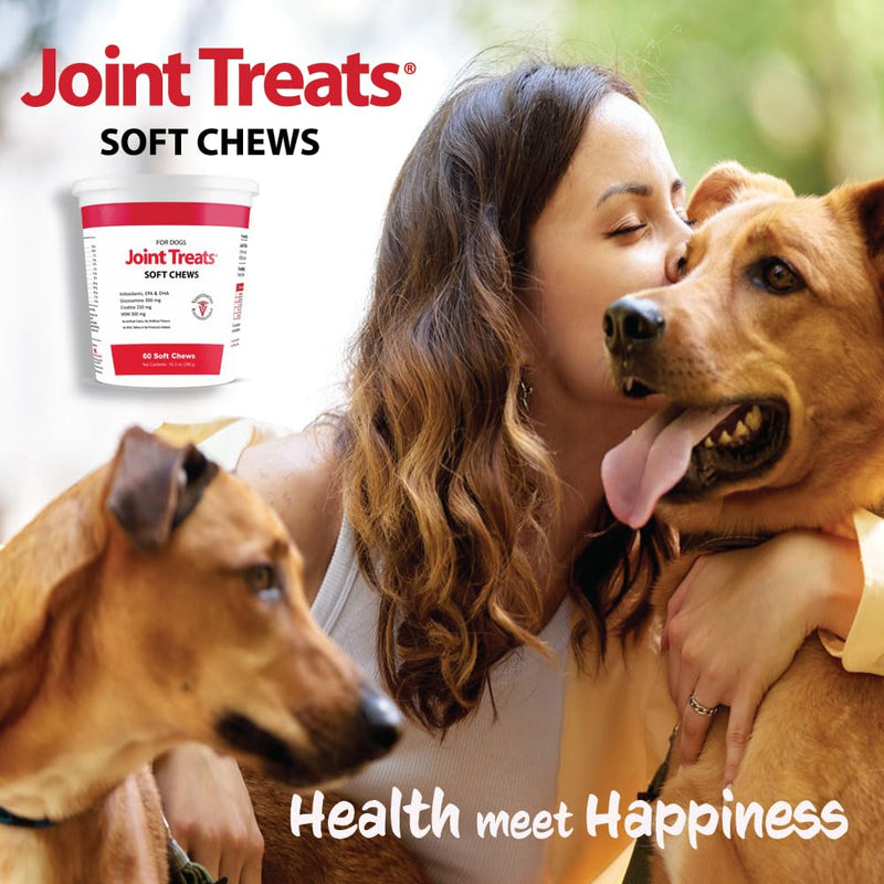 Joint MAX Joint Treats for Dogs - Glucosamine, MSM, Antioxidants, Creatine - Hip and Joint Pain Relief and Support Low Calorie Treat for Dogs - Made in USA - 60 Soft Chews - BeesActive Australia