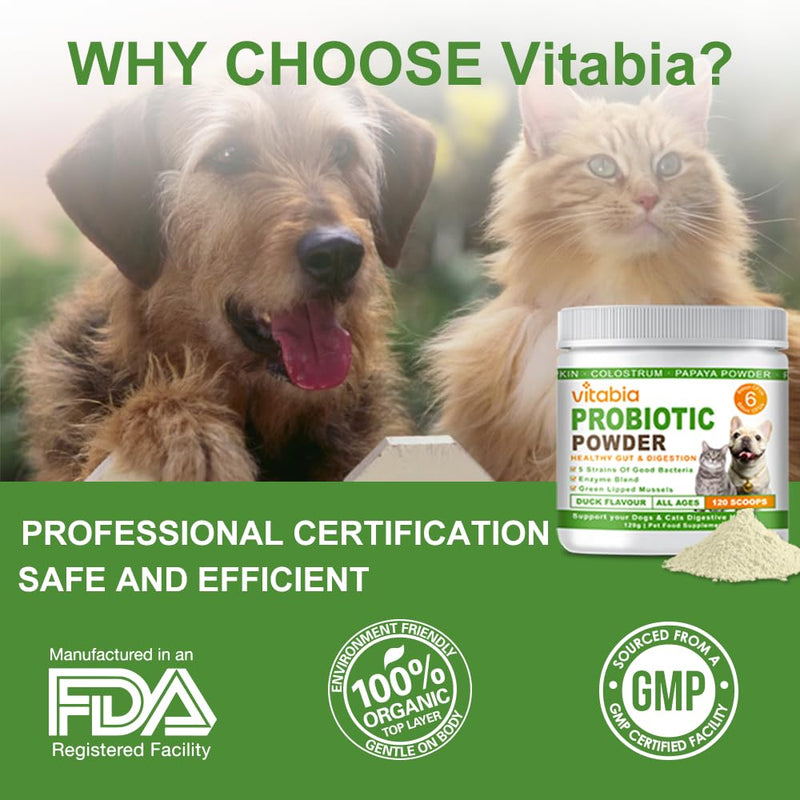 Probiotics For Dogs and Cats Powder - Natural Dog Treats For Gut Health, Itchy Skin Relief, Scooter Gland Treatment For dogs cats With Green Lipped Mussels, Psyllium Husk, Pumpkin, Probiotics Dog