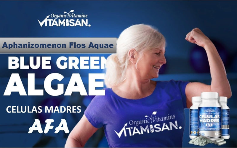 VITAMISAN 4 Celulas Madres Stemcells Celula AFA Blue Green Algae - Aphanizomenon Flos-aquae -Anti-Aging 240 Capsules new no GMO