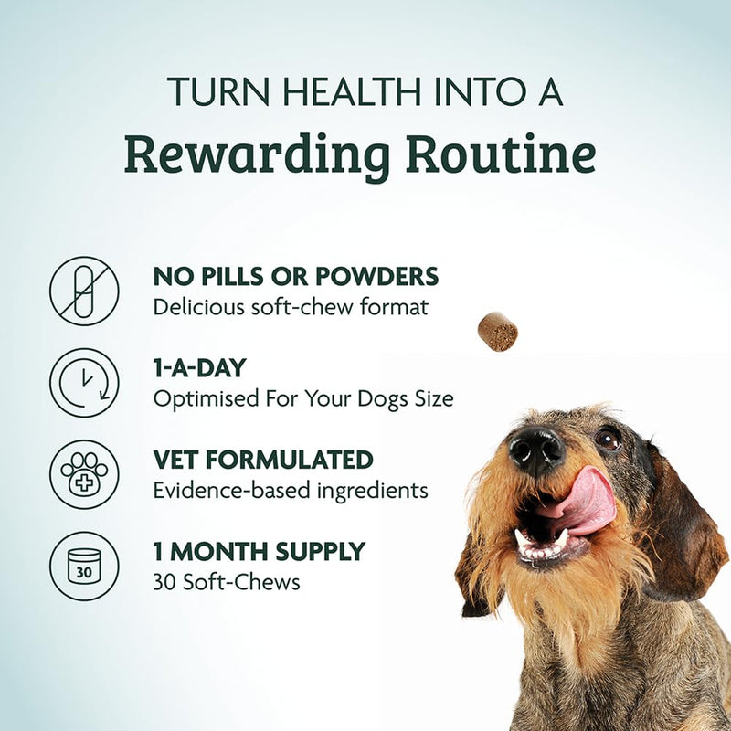 Omni Dog Anxiety Relief Supplement - Dragons’ Den Winners, One-a-Day Supplements for Dogs, Aids Stress and Anxiety with L-Tryptophan L-Theanine for Calming, 30 Servings Medium Dog 15-30Kg Pack of 1 Medium Dogs (15-30kg)