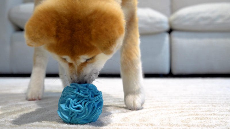 Puppy and Small Breed Snuffle Interactive Foraging Dog Puzzle Ball Toy Blue - BeesActive Australia