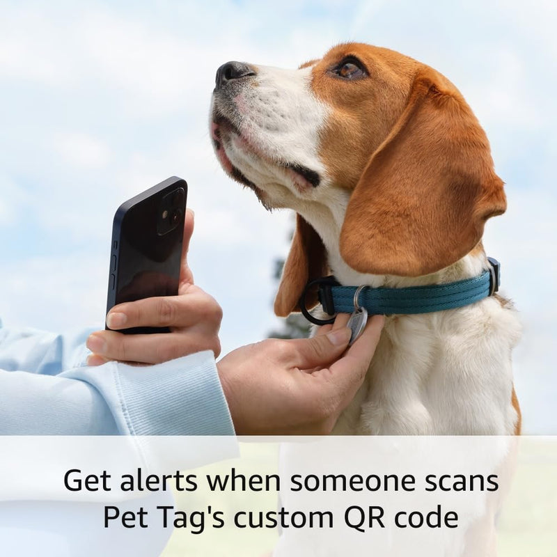 Ring Pet Tag | Easy-to-use tag with QR code | Real-time scan alerts | Shareable Pet Profile | No subscription or fees 1 Pet Tag - BeesActive Australia