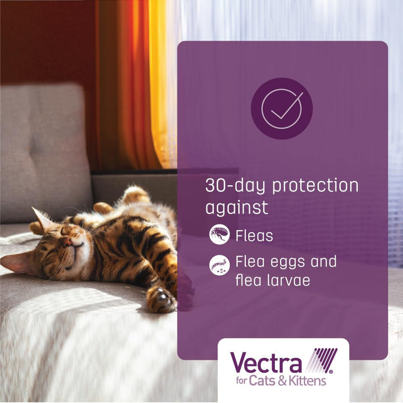 Vectra for Cats & Kittens Flea Treatment & Prevention for Small Cats (2-9 lbs.) 3-Month Supply 3 Pack