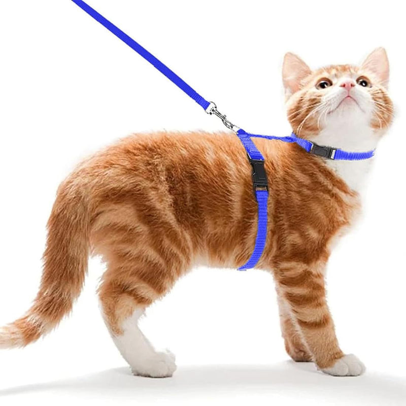 JSKWIKE 2 pieces adjustable nylon harness cat leash, harness cat leash kitten collar, soft cat harness with leash for kitten, puppy, rabbit, rabbit - BeesActive Australia