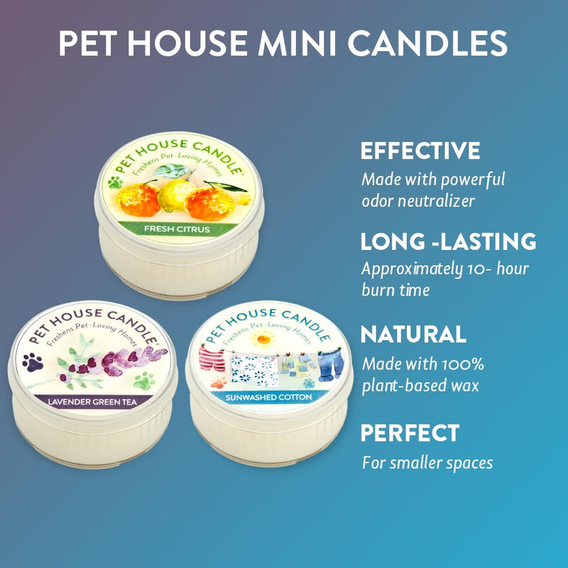 One Fur All Pet House Mini Candle - Variety 3 Pack - Pet Odor Eliminator Mini Candle - Natural Wax Candle - Mini Candle Set - Pet-Friendly Non-Toxic Scented Candle Top Sellers - PawsPlanet Australia