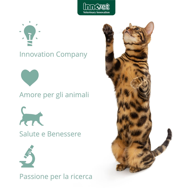Innovet Restomyl Dentalcroc, Improves Breath, Controls Plaque and Tartar of Cats - Pack of 60 g