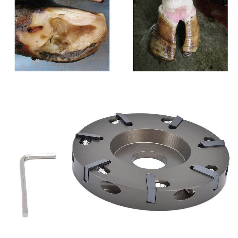 Electric Hoof Tool, Cow Hoof Trimming Disc Plate Electric Hoof Trimming Cutter Tool for Livestock Sheep Cattles Horses Supplies - BeesActive Australia
