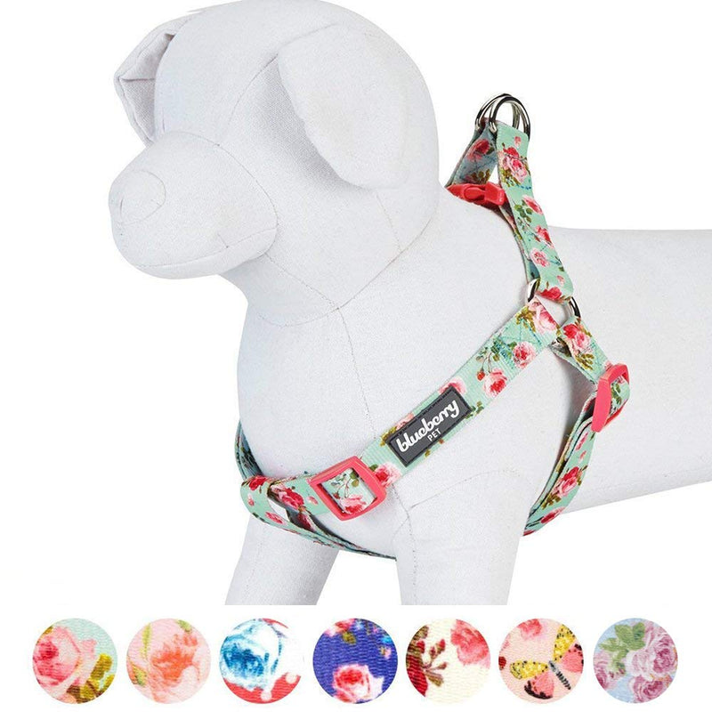 Blueberry Pet 9 Patterns Step-in Spring Scent Inspired Floral Rose Print Turquoise Dog Harness, Chest Girth 20" - 26", Medium, Adjustable Harnesses for Dogs (20" -26") Chest Girth (Pack of 1) - BeesActive Australia