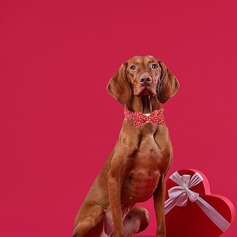 Elegant little tail Valentine's Day Dog Collar, Cute Red Heart Dog Collar with Bow for Medium Dogs, Female or Male Adjustable Cotton Pet Collar Holiday Puppy Collar for Small Medium Large Dogs Medium (Pack of 1) A: Red Heart - BeesActive Australia