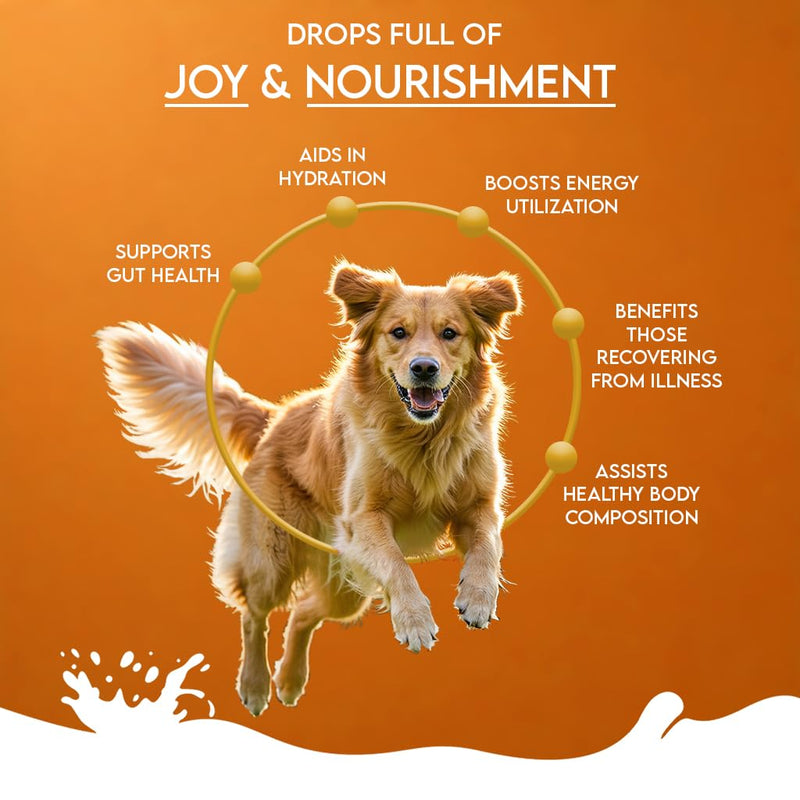 Pawfect Nature's Sip Goat Milk Powder with Pumpkin, Apple, Cinnamon & Pumpkin Seeds for Dogs- Easily Digestible- Pre & Probiotics- Healthy Topper- Hydration Support- 70 Scoops (350g/12.34oz) 350