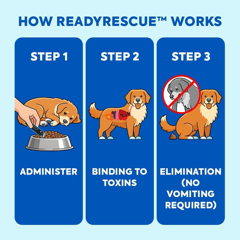 ReadyRESCUE Activated Charcoal microspheres for Dogs and Cats - Veterinary-Grade Pet First Aid Kit Essential - Fast Acting Emergency Poison Binder - Safe and Travel Ready - 30 g Pack of 1 1 Vial