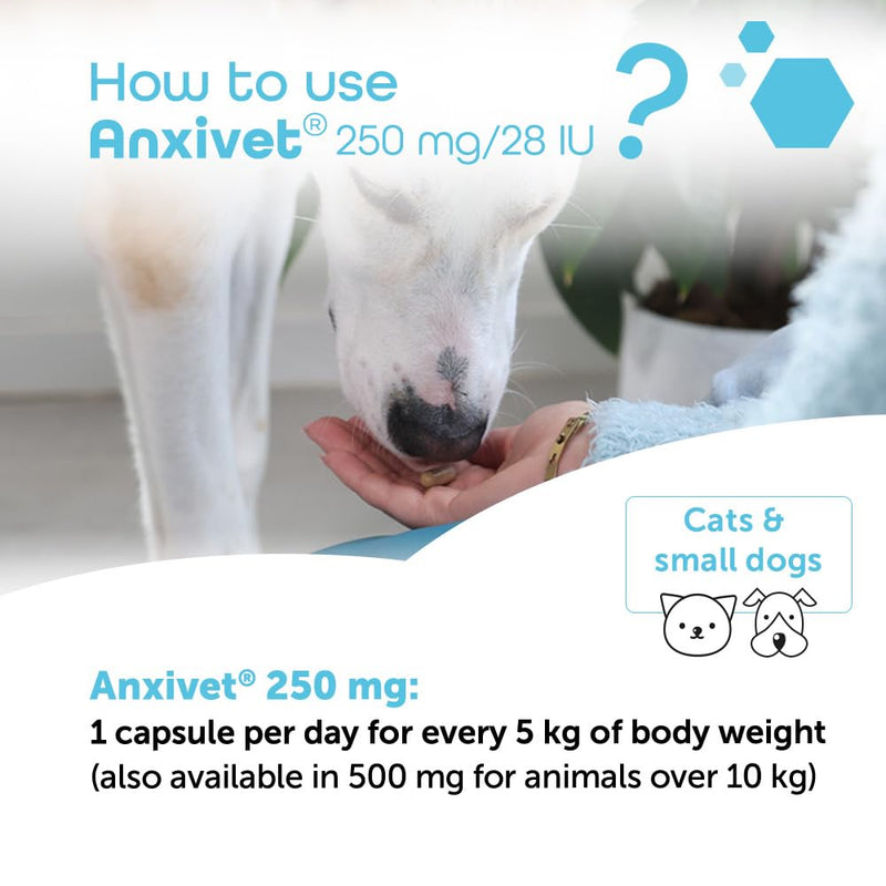 MP Labo Anxivet - Promotes Well-being and Adaptation to Stressful Daily Situations for Dogs and Cats (250 mg 28 IU 30 Capsules)