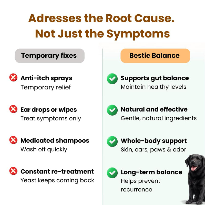 Bestie Balance Anti Yeast Supplement for Dogs. Itch Relief for Dogs - 2.5 Billion Dog Probiotics for Yeast, Itchy Skin and Itchy Ears. Stop Recurring Yeast with Gut Balance. 90 B