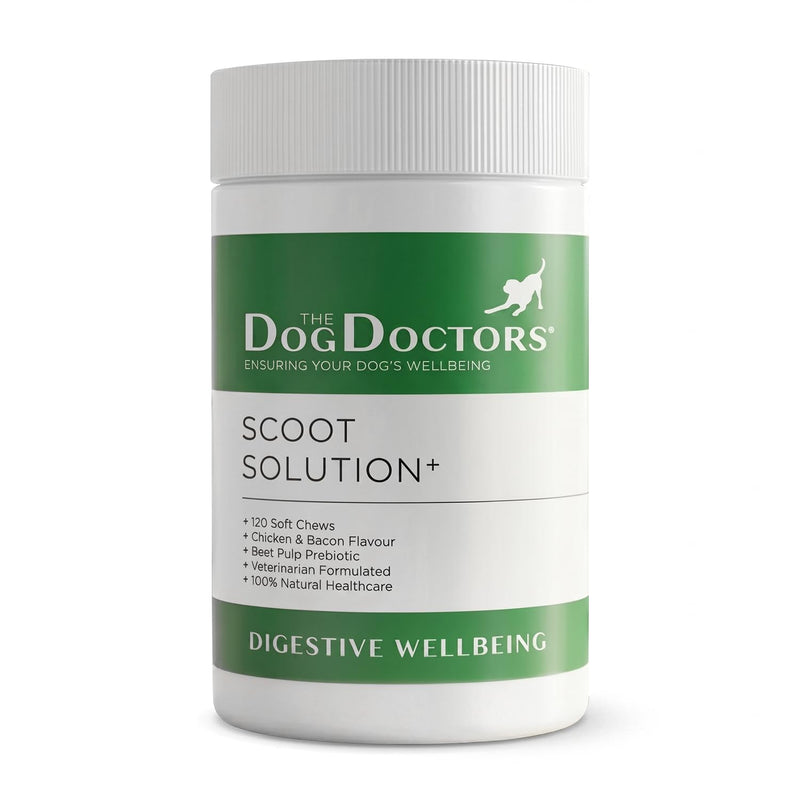 The Dog Doctors Scoot Solutions 120 Soft Chews – Digestive Chews for Dogs – Fibre Blend Soft Chews for Digestive Health, Gut Balance & Dog Anal Gland Support 120 count (Pack of 1)