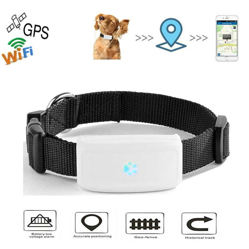 Winnes GPS Tracker Cat, Mini GPS Tracker Dog Without Subscription Real Time Tracking Anti Loss Alarm Historical Route GPS Collars Waterproof With Free APP - BeesActive Australia
