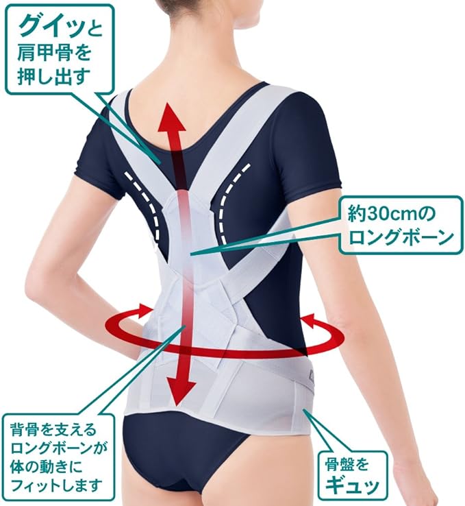 Alphax Posture Supporter, Doctor's Firm Back Belt, M-L Made in Japan -  Australia