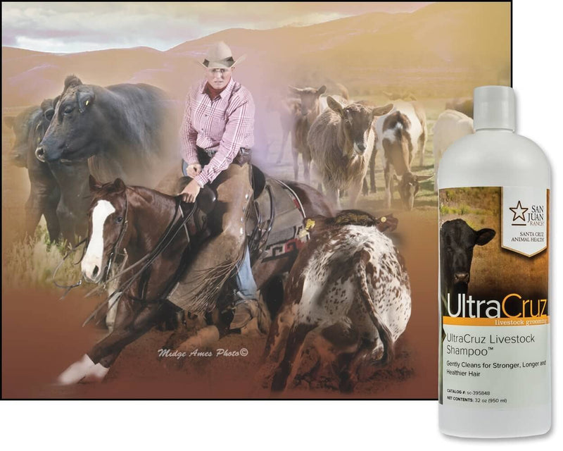 UltraCruz Livestock Shampoo, 32 oz - BeesActive Australia