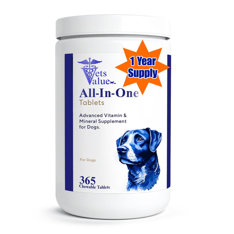 365-Day Multivitamin for Dogs, All-in-One Daily Supplement – Supports Joint Health, Immune Function, and Skin & Coat – Full Year Supply – Essential Vitamins & Minerals for Daily Wellness, All Breeds