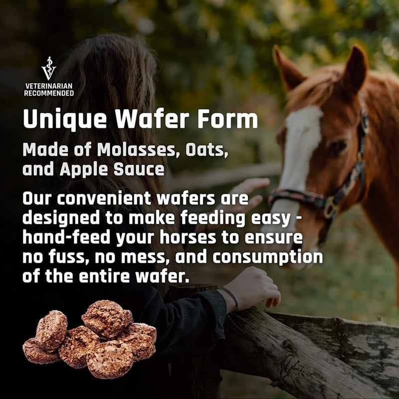 Majesty's KALM+ Wafers- Horse/Equine Balanced Behavior and Normal Nervous System Function Support Supplement - 30 Count (1 Month Supply) Apple