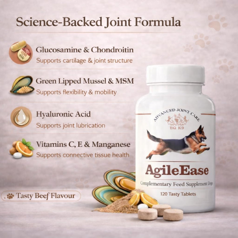 EQ K9 AgileEase Hip & Joint Supplements for Dogs (Senior & Adult), Advanced Joint Care with Glucosamine, MSM, Chondroitin & Green Lipped Mussel, Hyaluronic Acid Dog Joint Supplements,60Tablets 60