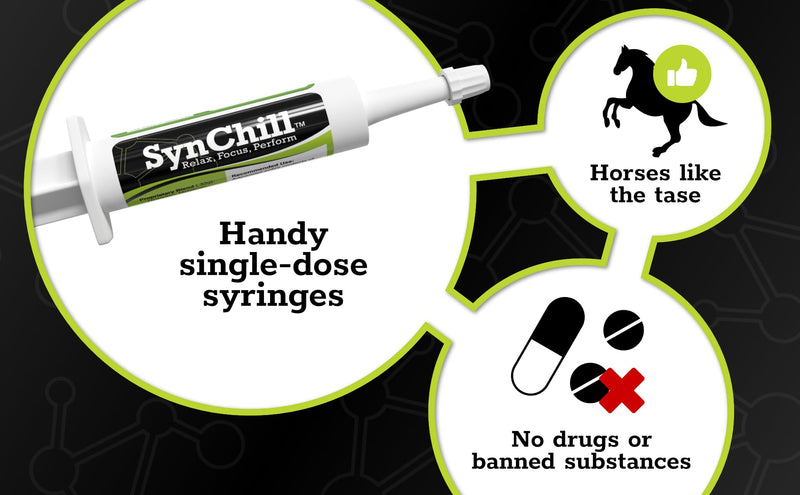 SynChill Oral Horse Calming Gel, 100% Natural & Nutritional Supplement, Lab Proven Results, Designed for Focus & Performance, Approved by Olympic Professionals & Veterinarians, Made in USA - 3-Pack - BeesActive Australia