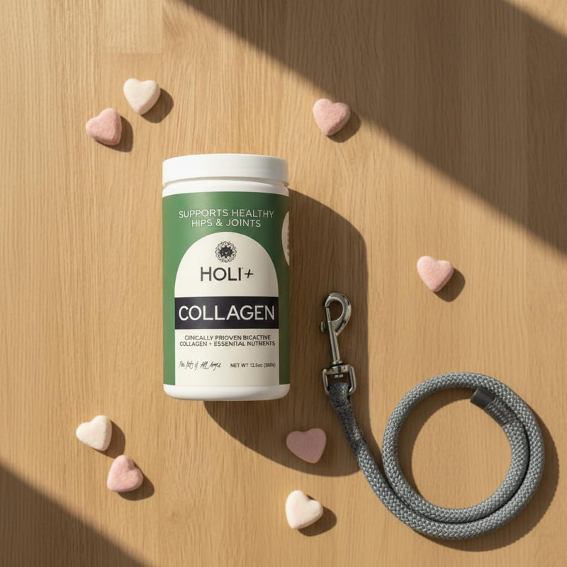 HOLI+ Collagen Supplement for Dogs - Hip and Joint Care Collagen Powder with Glucosamine and Hyaluronic Acid - Easy to Mix Functional Topper