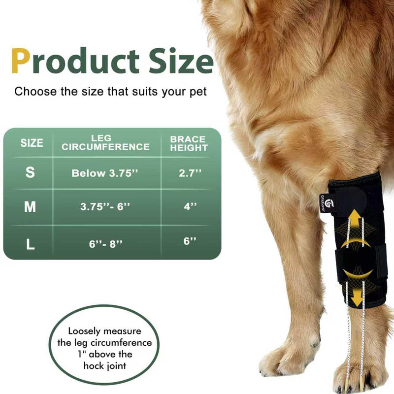Dog Front Leg Support Brace for Foot Drop, Canine Knuckling Prevention, Toe Dragging Assistance S