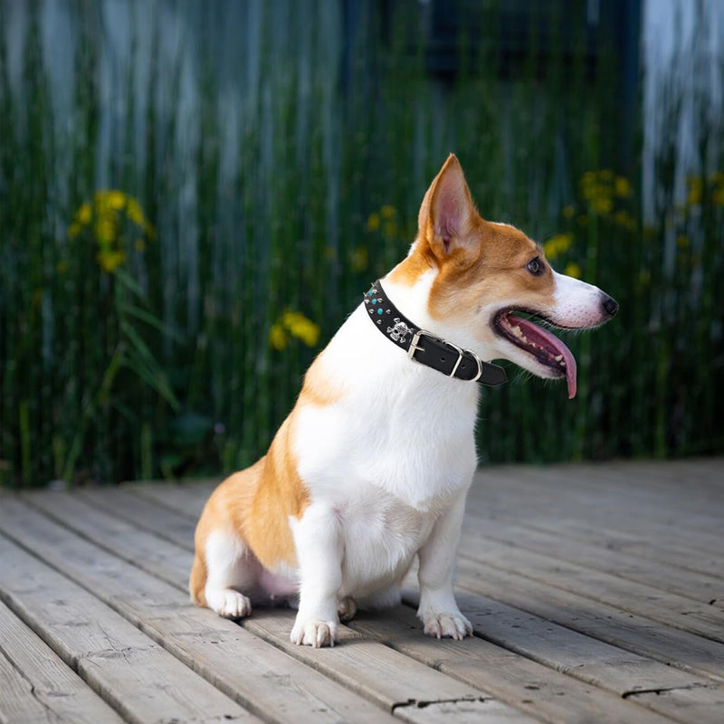 Spiked Dog Collar -Adjustable PU Leather Pet Collar for Small Medium Large Dogs Gift for Boys Girls Dog Black-L - BeesActive Australia
