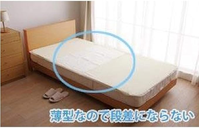 IRIS OHYAMA Waterproof Sheets Disposable FYL-30 Multicolor 30 Sheets -  Australia