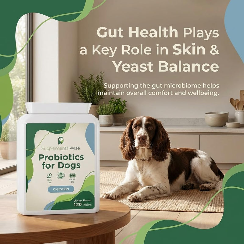 Probiotics For Dogs - Yeast Balance - Dog Probiotic for Gut Health - Dog Supplements for Itch Relief, Diarrhea, Wind, Anal Gland - Tummy Settler - 120 Tablets with Prebiotics and Digestive Enzymes