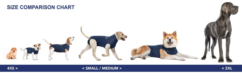 MPS Medical Pet Shirt Dog, Orange, L - BeesActive Australia