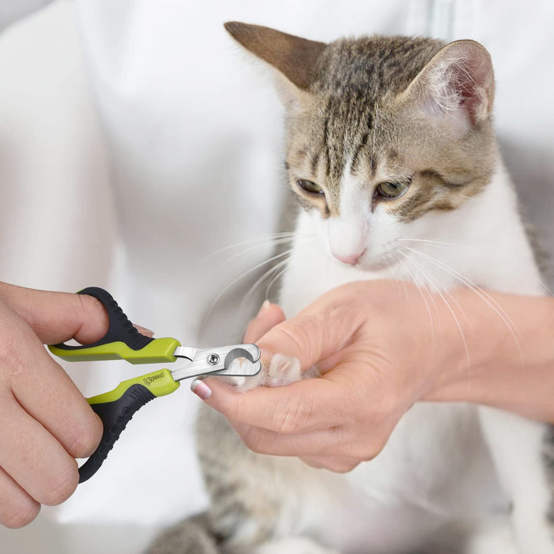 pecute Cat Claw Scissors, Cat Scissors Great for Beginners, Cat Nail Cutter Stainless Steel, Cat Nail Scissors Light, Claw Care for Puppies Cats Rabbits Small Animals (Green) - BeesActive Australia