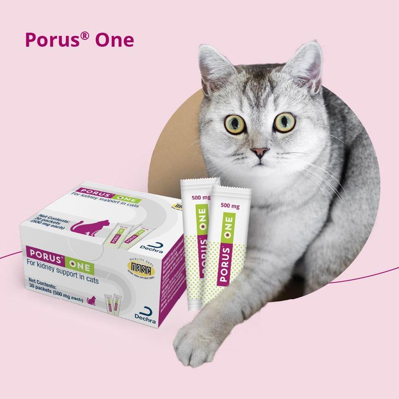 Porus One, 500mg, 30ct