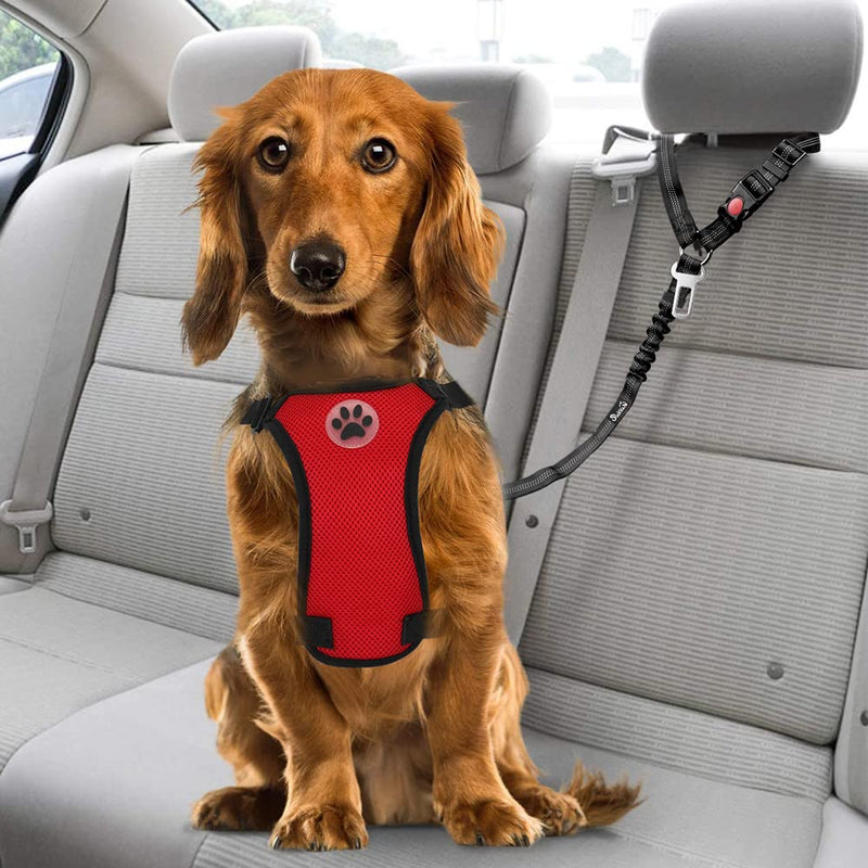 SlowTon Dog Seat Belt for Car, 2 Pack Dog Car Harness Seatbelt Adjustable with Elastic Bungee Buffer, 2 in 1 Pet Car Leash Headrest Restraint Dog Reflective Safety Tether (Black, Headrest+Clip) A.Black Headrest + Clip (Dual Restraint) - BeesActive Australia