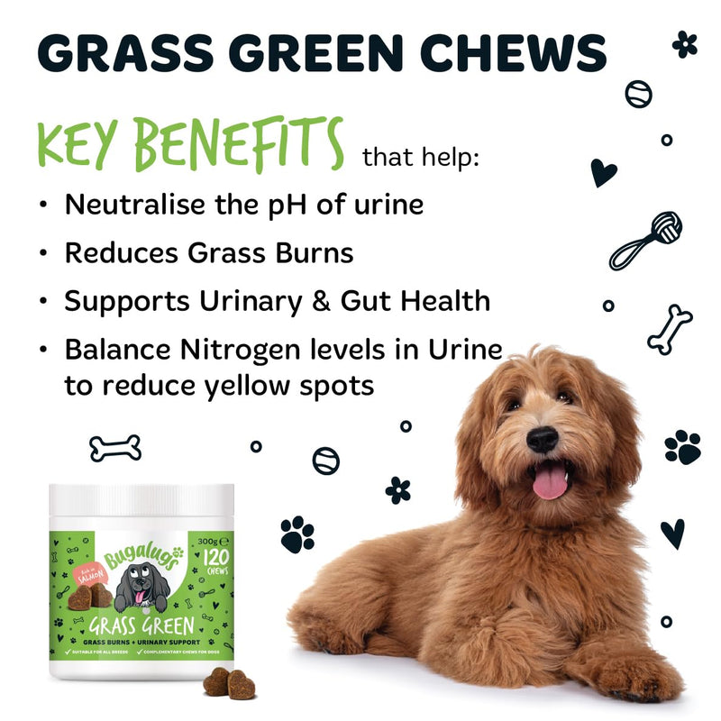 Bugalugs Grass Green Dog Supplement Chews helps support Dog Urine Neutraliser for Grass Burn with Cranberry that helps Urinary & Gut Health, Rich in Salmon, 120 Chews 300g (Pack of 1)